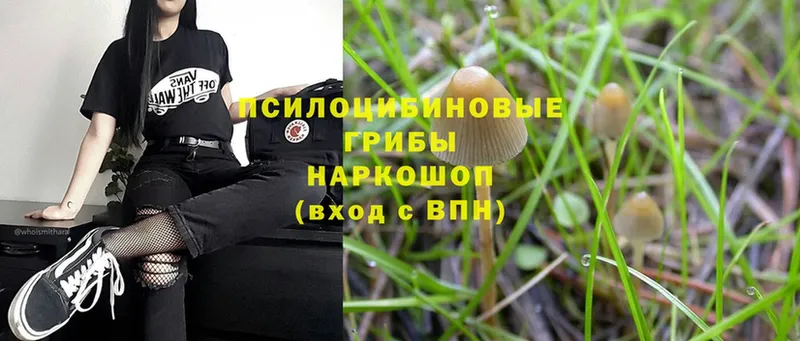 Псилоцибиновые грибы Magic Shrooms  Ворсма 